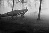     
: BF-109s-in-fog.jpg
: 1227
:	222.5 
ID:	3196