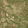     
: lowland_Siriya_fields_1.jpg
: 334
:	670.0 
ID:	62189