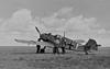     
: Me109E4-JG53-(W1+I)-France1940-21f-s.jpg
: 463
:	57.9 
ID:	41618