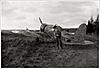     
: Fiat G.50 Freccia.jpeg
: 731
:	126.8 
ID:	10905