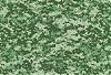     
: digital_camo_green.jpg
: 440
:	883.8 
ID:	5928