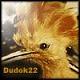 Аватар для Dudok22