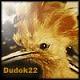   Dudok22